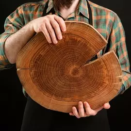 Спил торцевой