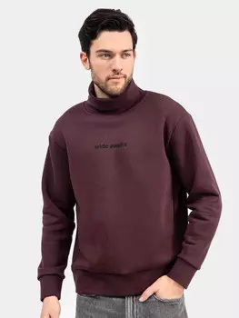 Стильный джемпер мужской с воротником-стойкой в цвете