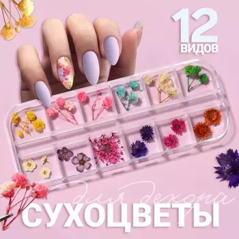 Сухоцветы для декора