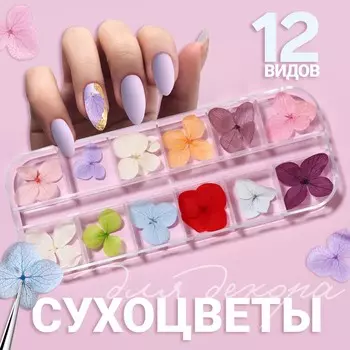 Сухоцветы для декора