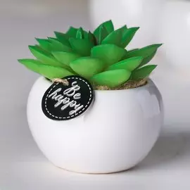 Суккулент в керамическом горшочке be happy, 7 × 7.5 × 7.5 см