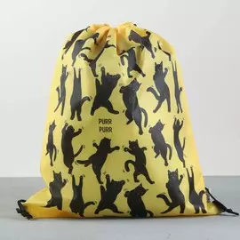 Мешок для обуви purr болоньевая, размер 30 х 40 см