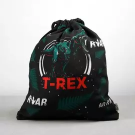 Мешок для обуви t-rex текстиль, размер 30 х 40 см
