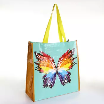 Сумка хозяйственная без застежки, цвет разноцветный