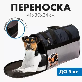 Сумка - переноска