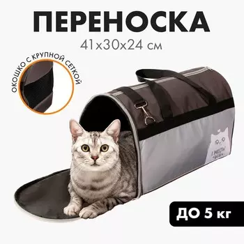 Сумка - переноска