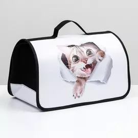 Сумка-переноска для животных жесткая