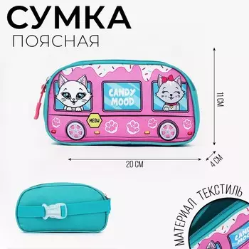Сумка поясная детская