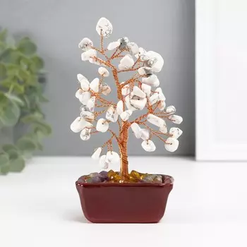 Бонсай декоративный