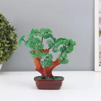 Бонсай декоративный