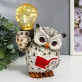 Сувенир полистоун свет