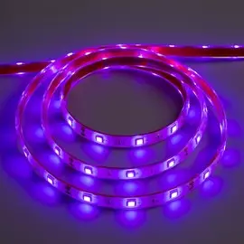 Светодиодная лента 12в, smd5050, 5 м, ip68, 30 led, 7.2 вт/м, 14-16 лм/1 led, dc, фиолетовый