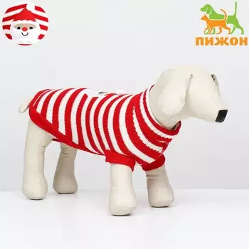 Свитер для собак