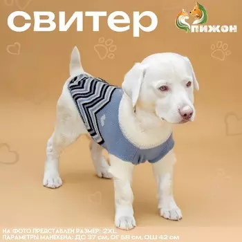 Свитер для животных