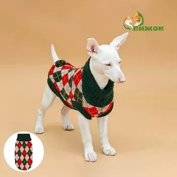 Свитер для животных