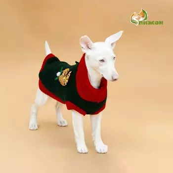 Свитер для животных