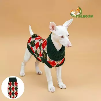Свитер для животных
