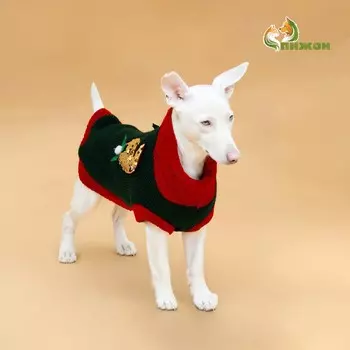 Свитер для животных