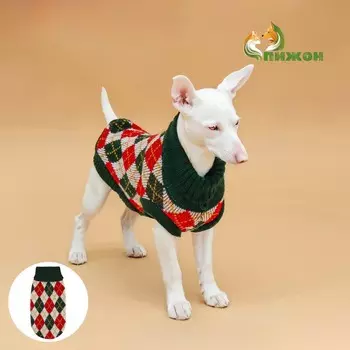 Свитер для животных