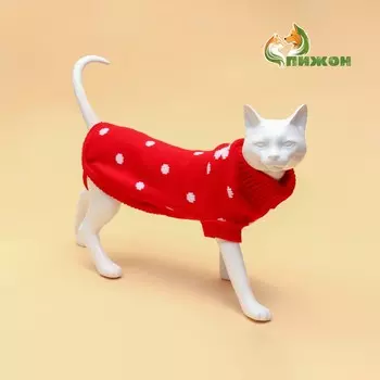 Свитер для животных