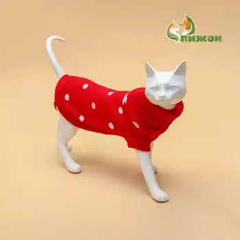 Свитер для животных