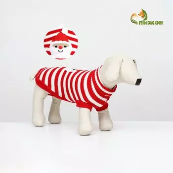 Свитер для собак