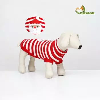 Свитер для собак