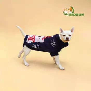 Свитер для животных, размер 14 (дс 32-35, ог 35-45, ош 22-26 см), синий