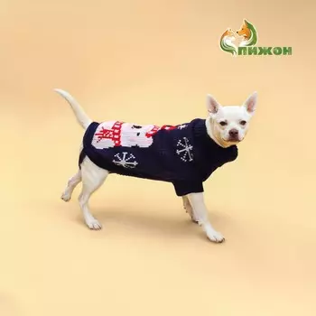 Свитер для животных, размер 6 (дс 17-20, ог 22-28, ош 14-16 см), синий