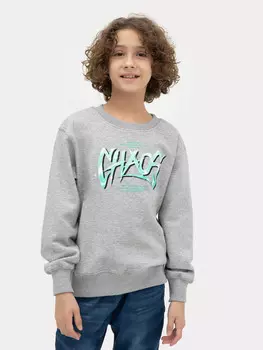 Свитшот для мальчиков серый с печатью