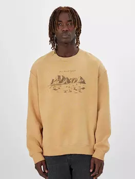 Свитшот мужской бежевый с обработкой эйсид