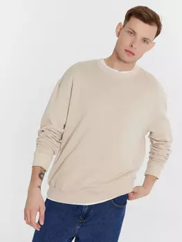 Свитшот мужской в холодном-бежевом цвете