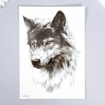 Татуировка на тело черная