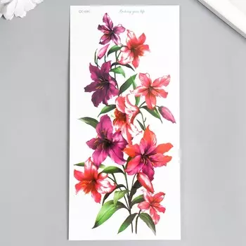 Татуировка на тело цветная