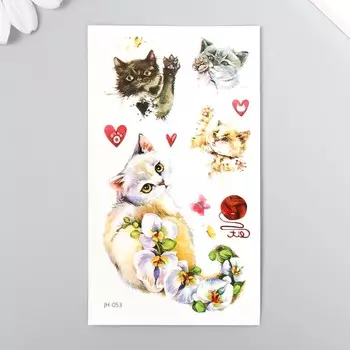 Татуировка на тело цветная