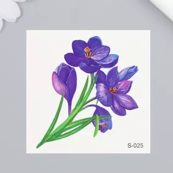 Татуировка на тело цветная