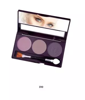 Тени для век тон 310 6 г