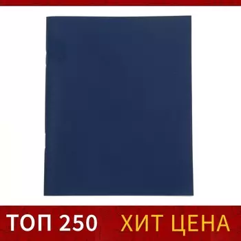 Тетрадь 48 листов в клетку calligrata, бумвинил, блок №2, эконом, синий