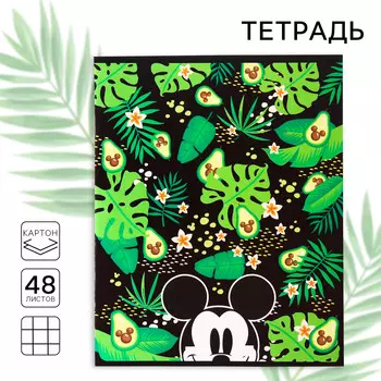 Тетрадь 48 листов в клетку, картонная обложка