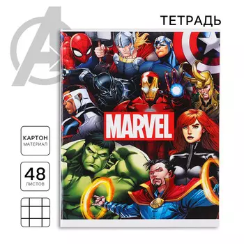 Тетрадь в клетку 48 листов, картонная обложка, блок №2, белизна 75% (серые листы),