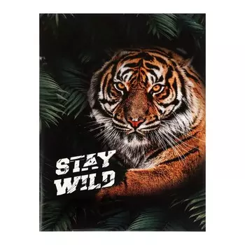 Тетрадь а4, 48 листов в клетку calligrata