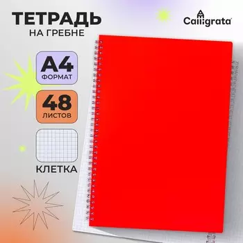 Тетрадь a4, 48 листов в клетку, на гребне, calligrata, пластиковая обложка, блок офсет, красная