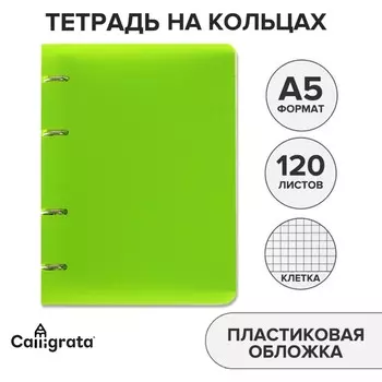 Тетрадь на кольцах a5 120 листов в клетку calligrata салатовая, пластиковая обложка, блок офсет