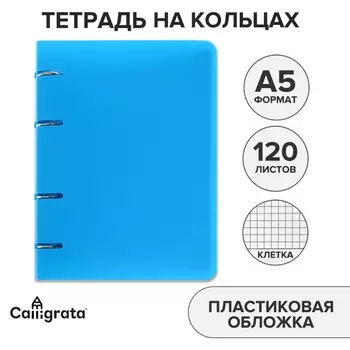 Тетрадь на кольцах a5 120 листов в клетку calligrata голубая, пластиковая обложка, блок офсет