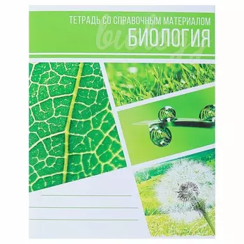 Тетрадь предметная 48 листов в клетку calligrata,