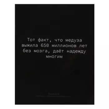 Тетрадь предметная calligrata