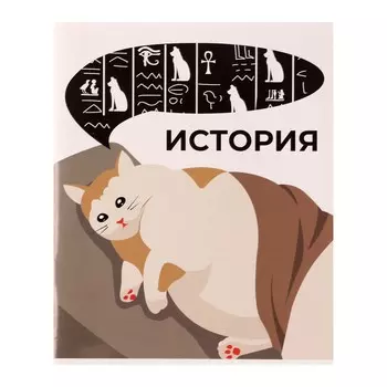 Тетрадь предметная calligrata