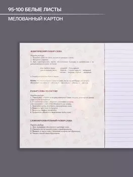 Тетрадь предметная, 48 листов в линейку, calligrata