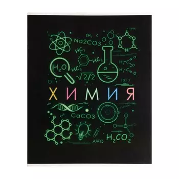 Тетрадь предметная calligrata