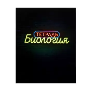 Тетрадь предметная 48 листов в клетку calligrata,